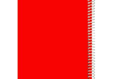 دفتر مشق 100 برگ طلقی سیمی یاس بهشت طرح قرمز