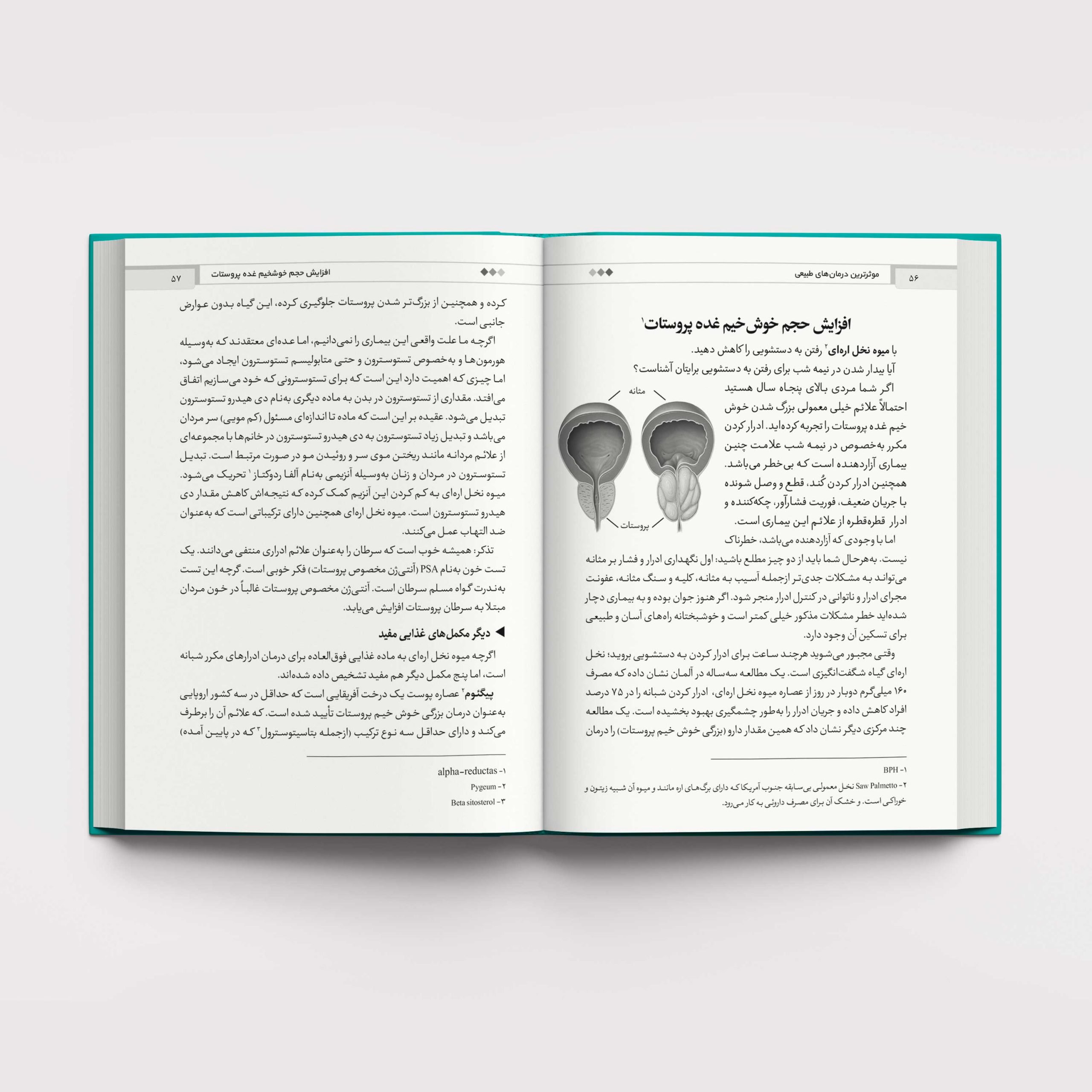 کتاب موثرترین درمان‌های طبیعی اثر محمود ثابت نژاد